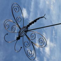 imaged dragon fly