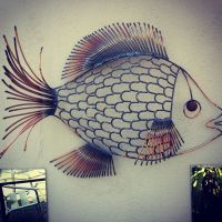 Large fish