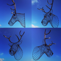 Deer head